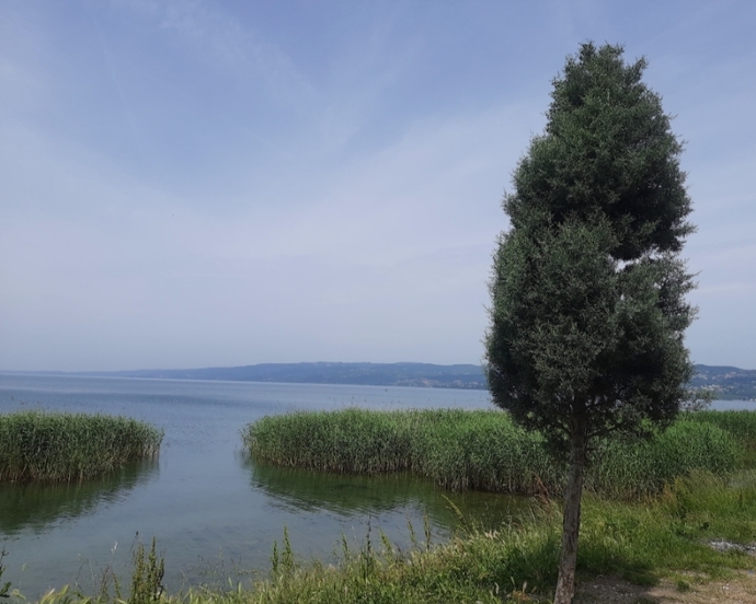 Sapanca
