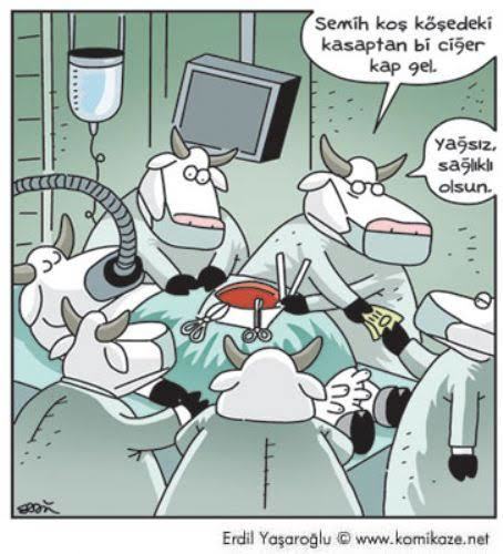 Sakatat sever misiniz?