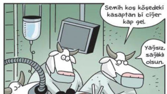 Sakatat sever misiniz?