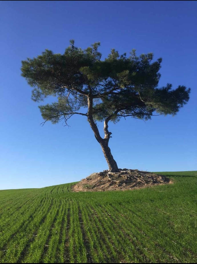 Yalnızlık kime mahsustur?