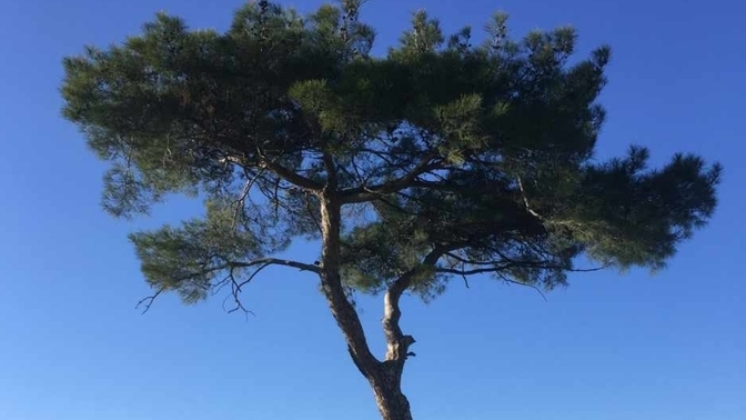Yalnızlık kime mahsustur?