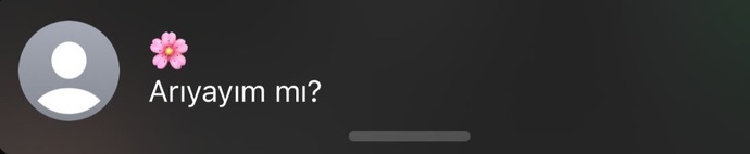 Şu mesaja dünyanın en güzel mesajı değil mi?