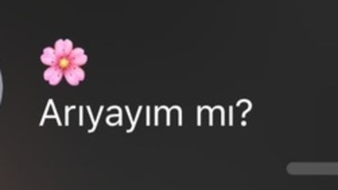 Şu mesaja dünyanın en güzel mesajı değil mi?