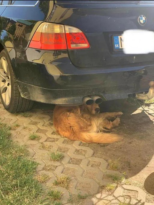 Eşiniz gecelikle balkona çamaşırları toplamak için çıksa?
