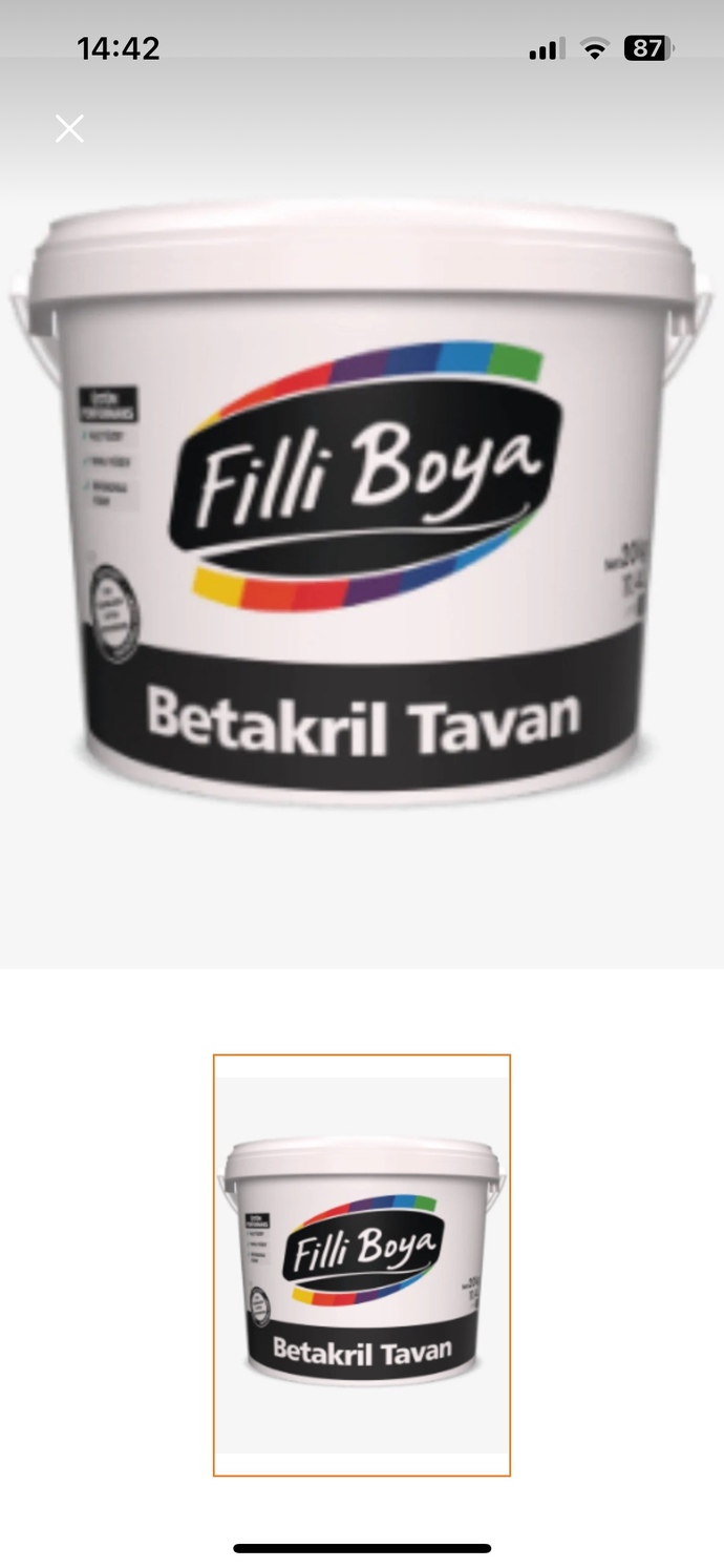 Tavandaki küf için hangisi iyi?