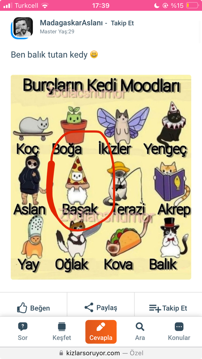 Burcuna göre hangi kedi modundasın?