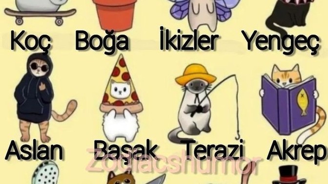 Burcuna göre hangi kedi modundasın?