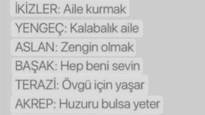 Burcunuzun hayali nedir?