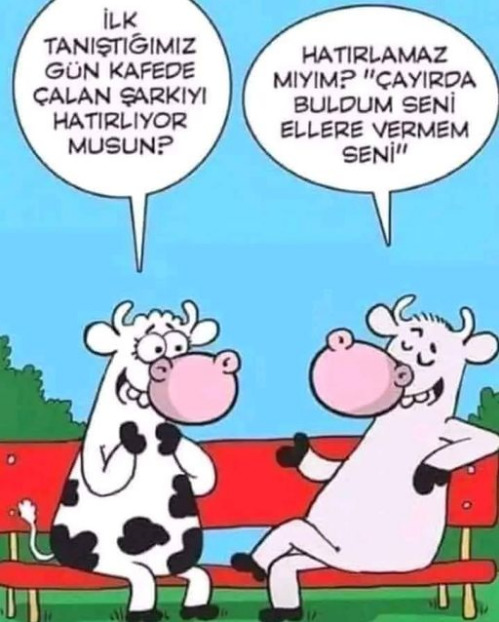 Sürekli çayır çimende dolaşmayı seven sevgiliden olur mu?
