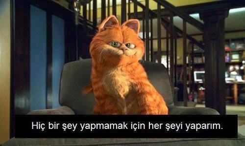 Hiç bir şey yapmamak için yaptığınız şey ne?