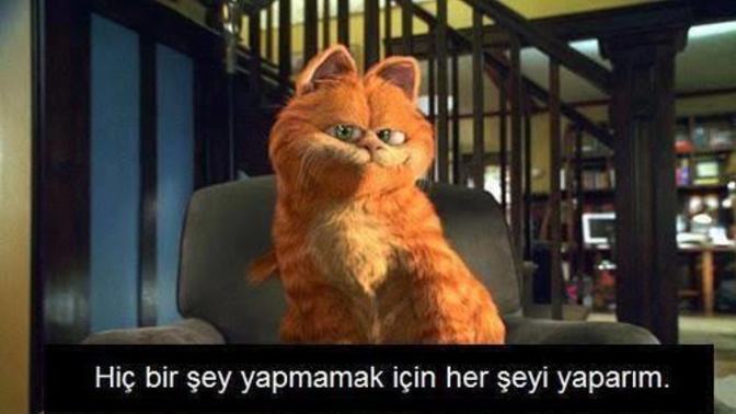 Hiç bir şey yapmamak için yaptığınız şey ne?