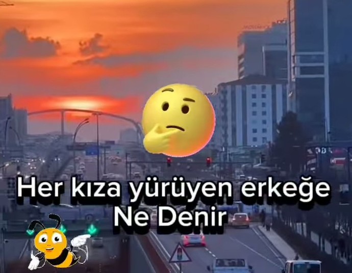Sizce ne denir?