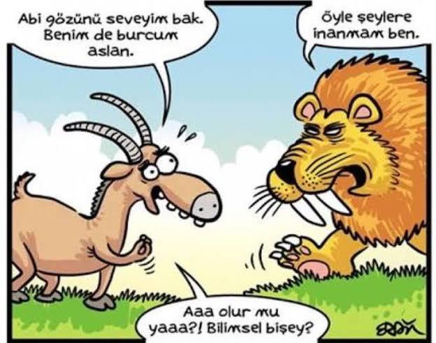 Burçların insan karakteri üzerinde bir etkisi olduğuna inanıyor musunuz?