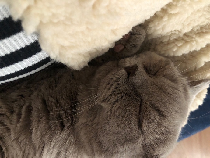 💕