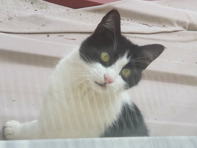Aşkımı çok seviyorum, sizin böyle bir aşkınız var mı?