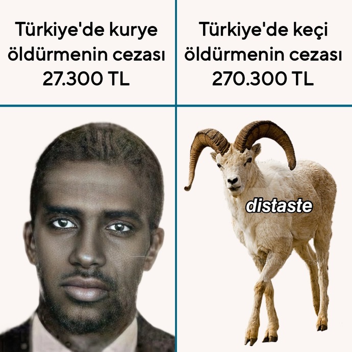 Türk ırkı bir ayrıcalık?