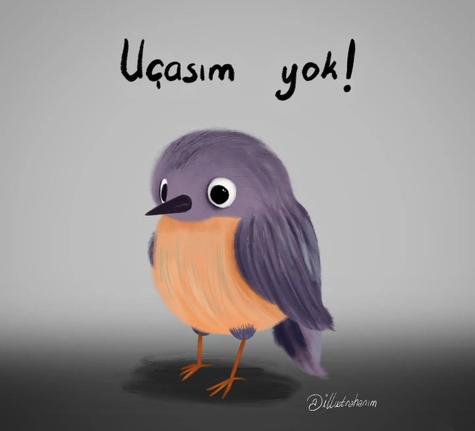Şu an ne yapasın yok hiç?