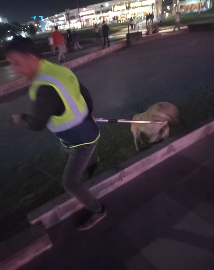 Masum hayvanlar ölüm kamplarına tıkılırken nasıl rahat uyuyorsunuz?