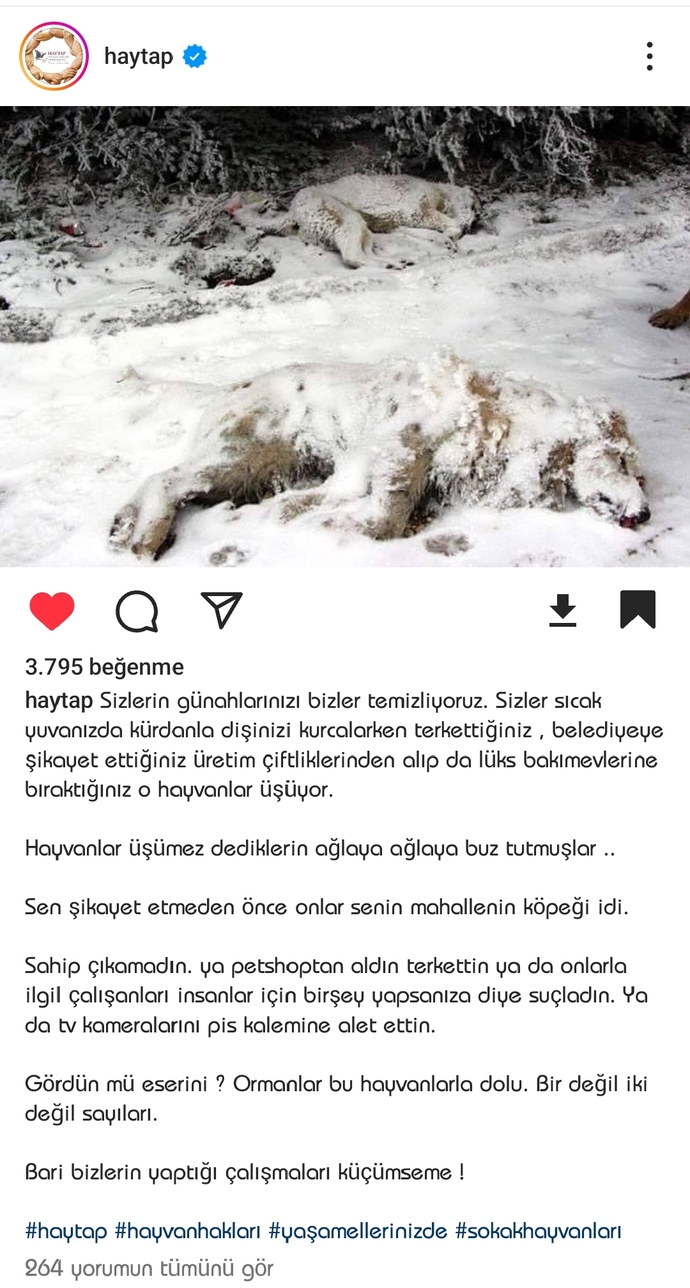 Masum hayvanlar ölüm kamplarına tıkılırken nasıl rahat uyuyorsunuz?