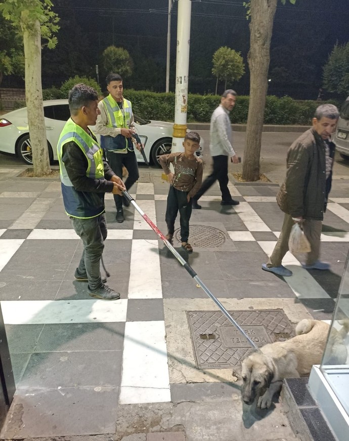 Masum hayvanlar ölüm kamplarına tıkılırken nasıl rahat uyuyorsunuz?