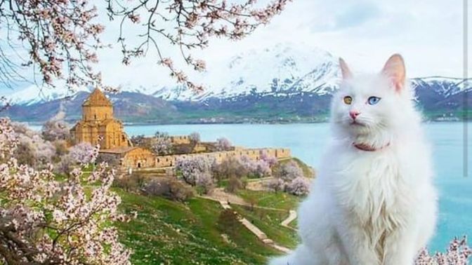 Yaşadığınız şehri üç kelimeyle anlatabilir misiniz?
