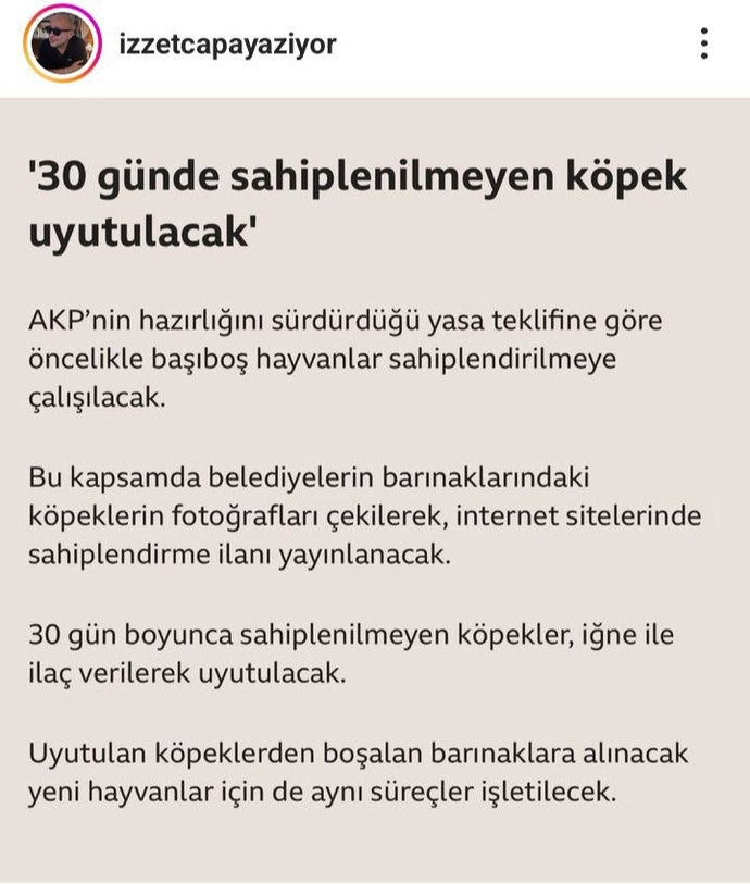 30 gün sahiplenilmeyen köpek uyutulacak çözüm böyle mi olmalı sizce?