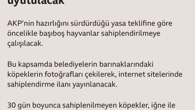 "30 gün sahiplenilmeyen köpek uyutulacak" çözüm böyle mi olmalı sizce?