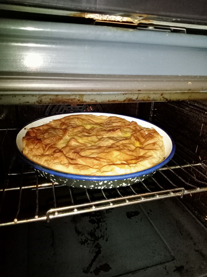 Patatesli börek mi yapsam, peynirli mi🫠 ?
