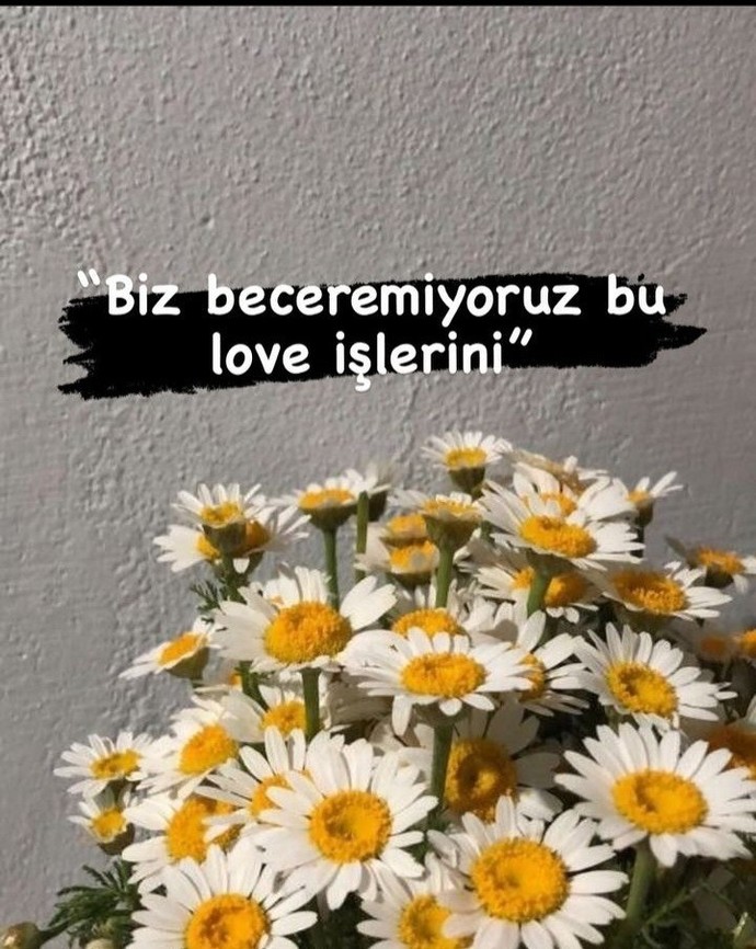 Biz beceremiyoruz bu love işlerini. Sevmek zor değil mi?