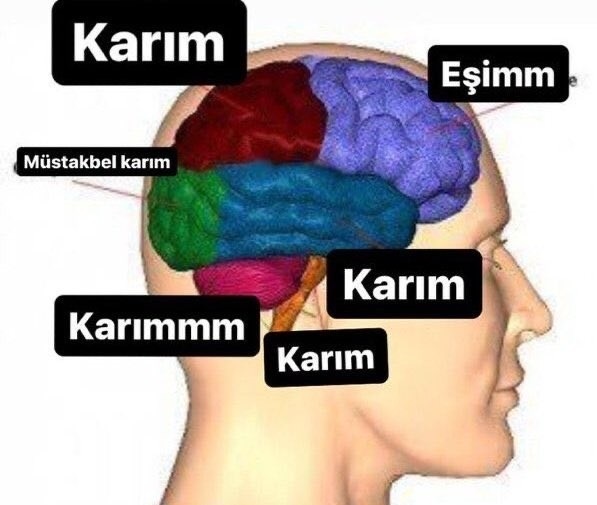 Hanımcılık kazandırır mı kaybettirir mi?
