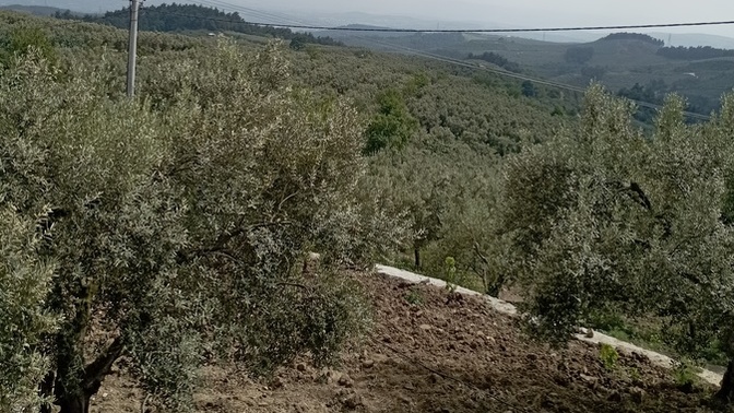 Hafta içi kaçamağı yapılır mı?