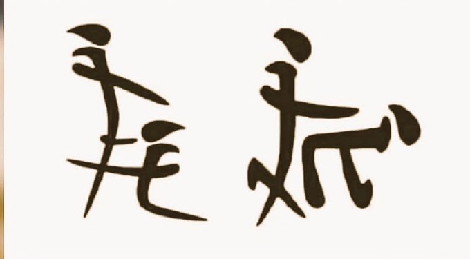 Japoncada bu ne anlama geliyor?