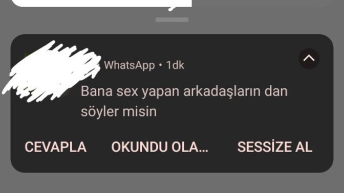 Küs olduğum sevgilim bana attığı mesaja bakın ne demek istiyor bu?