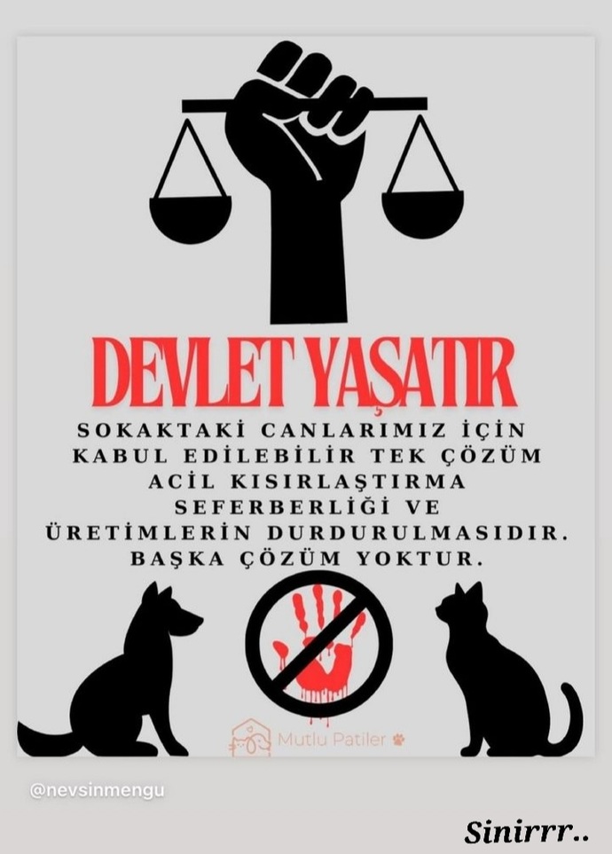 Masum hayvanları öldürenlerin bedeli öbür dünyada nasıl olacak acaba?