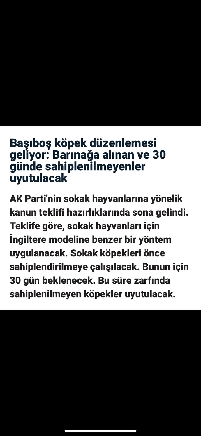 Sokaktaki hayvanların öldürülme kararı hakkında ne düşünüyorsunuz?