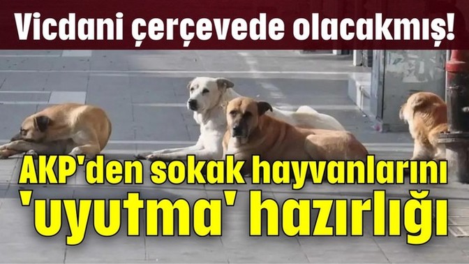 AKP nin yeni duzenlemesi (katliamı) nasıl buldunuz?