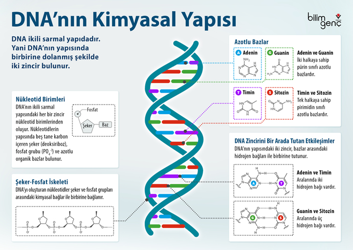 Siz ne diyorsunuzzz?