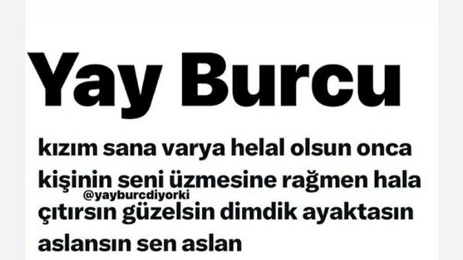 Yay burçları ne alemdesiniz?