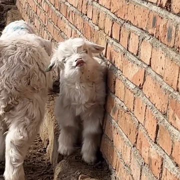 Sizce dudak dolgusu herkeste güzel duruyor mu?