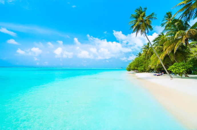 🏝️