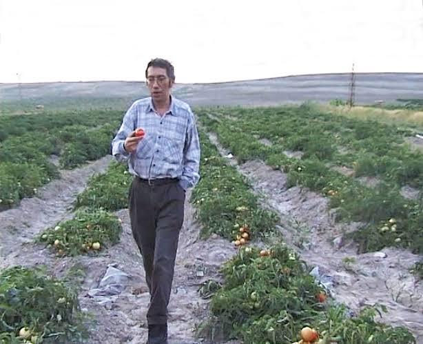 Kızlar bu tipe gönül verir misiniz?