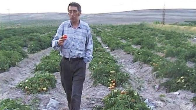 Kızlar bu tipe gönül verir misiniz?