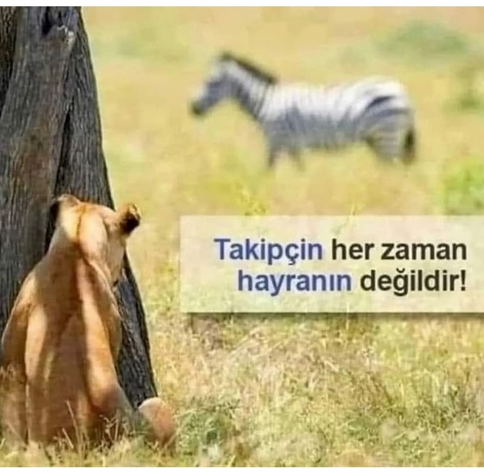 Beni takip etmemeniz gerektiğini daha kaç kere belirteceyim?😂😂takip atmayın arkadaşlar ben canım istediğine atıyorum zaten😂?