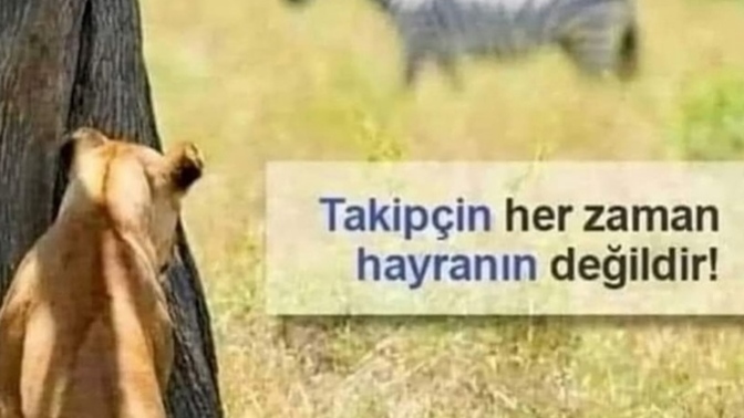 Beni takip etmemeniz gerektiğini daha kaç kere belirteceyim?😂😂takip atmayın arkadaşlar ben canım istediğine atıyorum zaten😂?