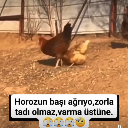 Cinsel ilişkiye her zaman iki taraf hazır olduğunda mı girilir?