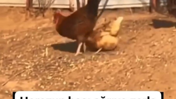 Cinsel ilişkiye her zaman iki taraf hazır olduğunda mı girilir?