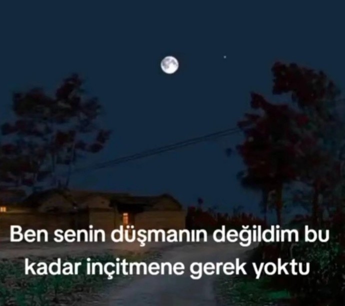 Sevdiğinizi incitiyormusunuz bazen?