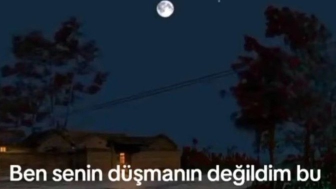 Sevdiğinizi incitiyormusunuz bazen?