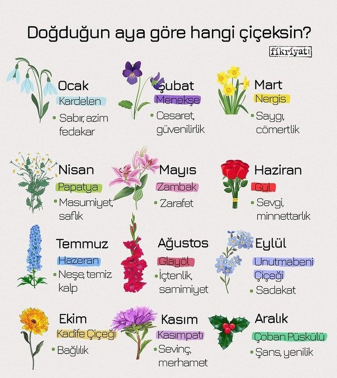 Zerafet = me aynen aynen 😌 😂