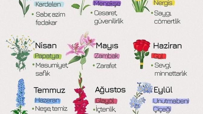 Doğduğun aya göre bir çiçek olsan hangi çiçek olurdun 👇?